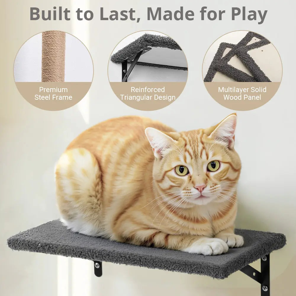 【Petcozife】5-In-1 Wall Mounted Cat Climber Set with Cat House, Wooden Kitten Climbing Wall with Scratching Post, Tunnel, Bridge, Tree, Steps, Scratcher Board & Hammock, Indoor Cat Shelves for Luxury Kitty